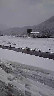 10-02-06_002.jpg