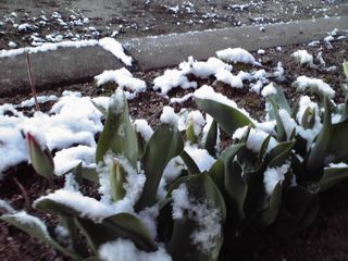 10-03-30_003.jpg