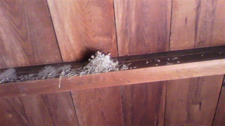 2010061715100000.jpg
